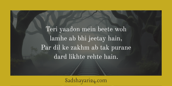 Emotional Sad Love Shayari in Hindi